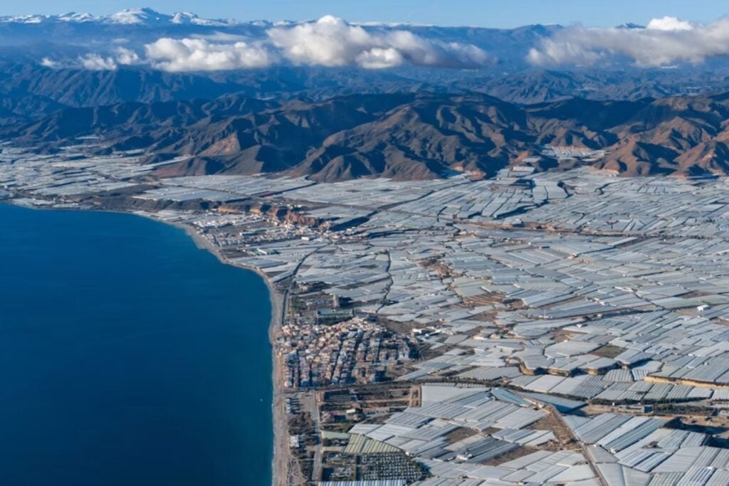 En los años 50, el Campo de Dalías era una llanura semiárida donde cultivar significaba pelear contra el viento y la falta de agua. Siete décadas después, 33.000 hectáreas de plástico producen más de cuatro millones de toneladas de frutas y hortalizas y hasta han enfriado el clima local