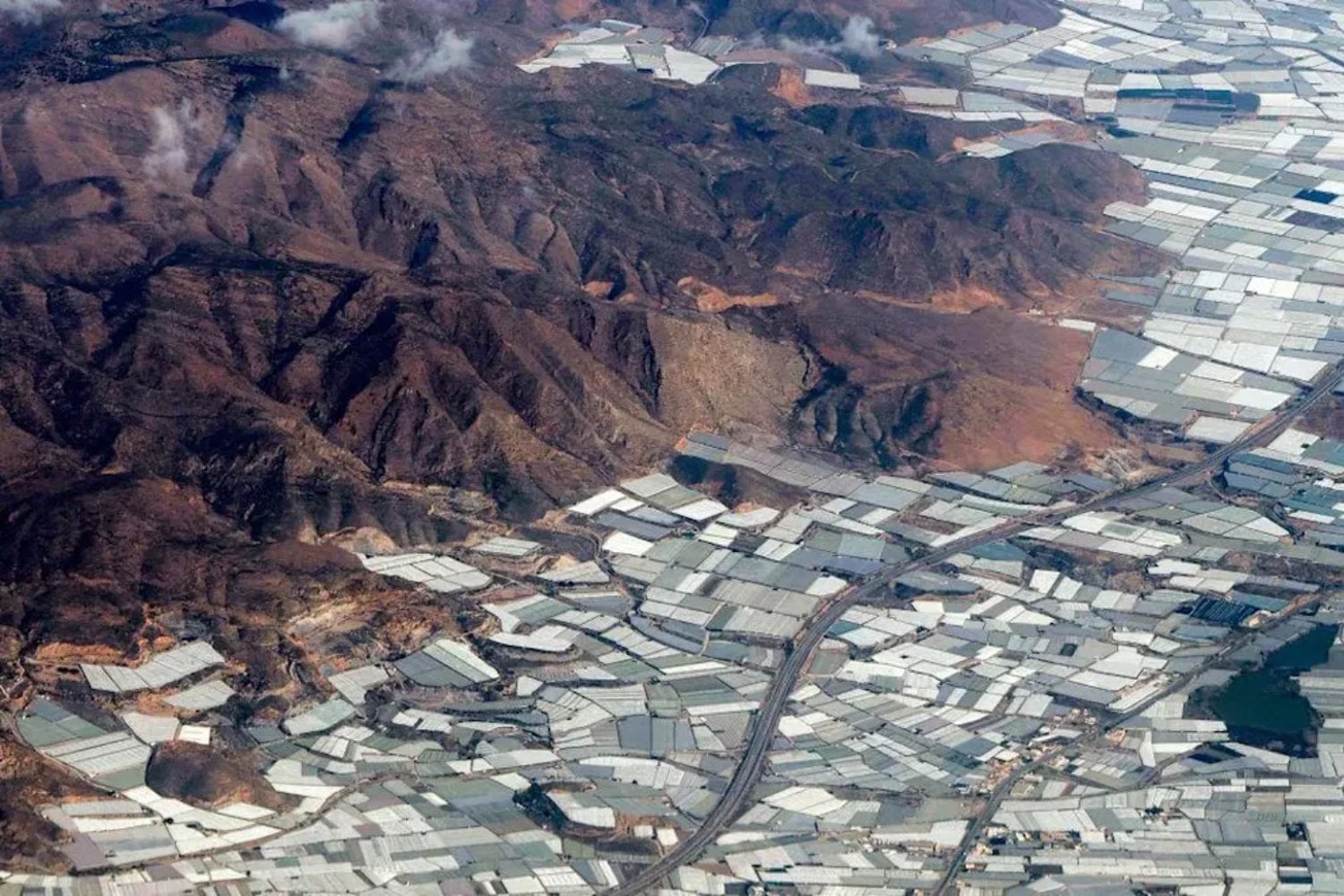En los años 50, el Campo de Dalías era una llanura semiárida donde cultivar significaba pelear contra el viento y la falta de agua. Siete décadas después, 33.000 hectáreas de plástico producen más de cuatro millones de toneladas de frutas y hortalizas y hasta han enfriado el clima local