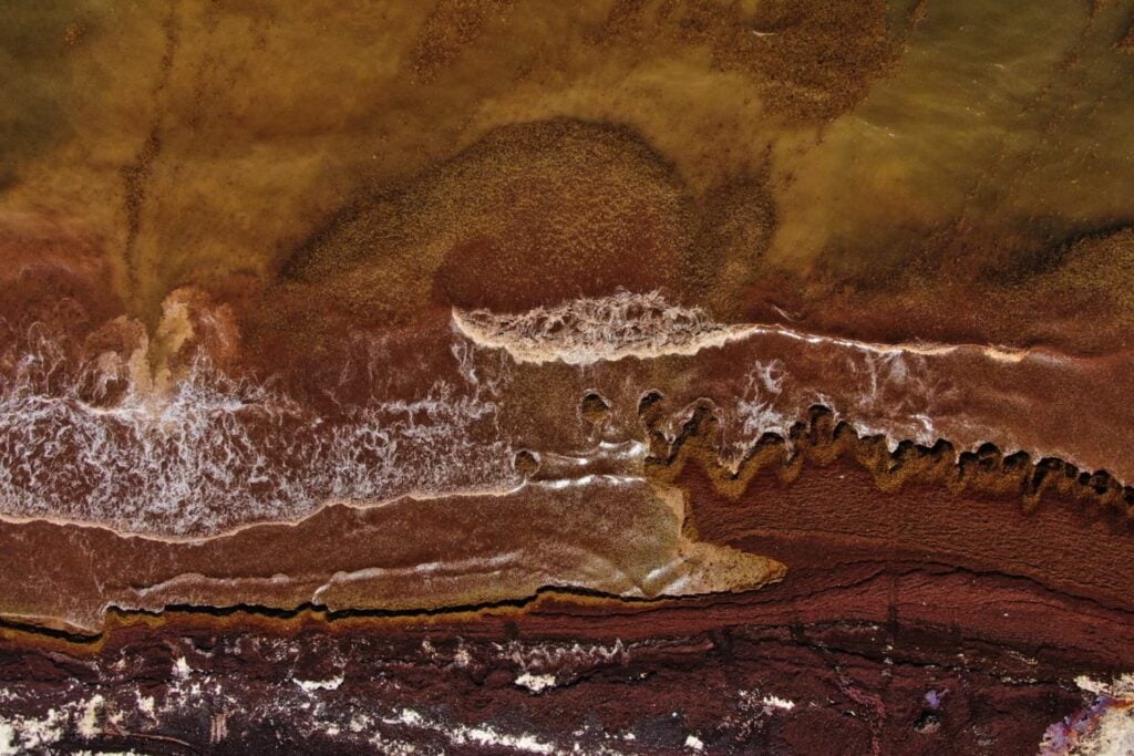 La NASA ha medido una masa de algas de 33,6 millones de toneladas cruzando el Atlántico. En mar abierto sostiene la vida; cuando llega al Caribe, la asfixia y libera gases tóxicos