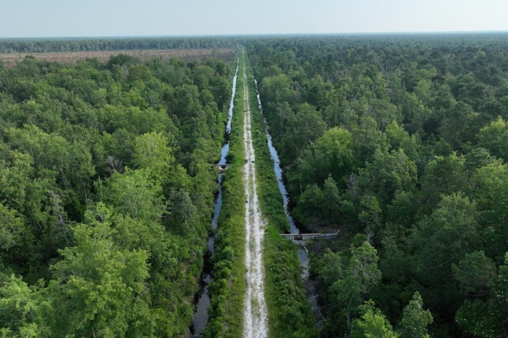 Excavaron 80 kilómetros de zanjas para convertir una turbera de Carolina del Norte en campos de cultivo. El proyecto fracasó, pero el drenaje siguió funcionando: ahora libera 130.000 toneladas de CO₂ al año