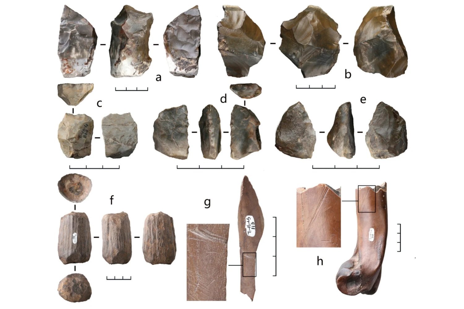 Durante años conocimos a los denisovanos casi solo por su ADN. Una cueva de China acaba de llenar con huesos uno de los mayores huecos de nuestra historia