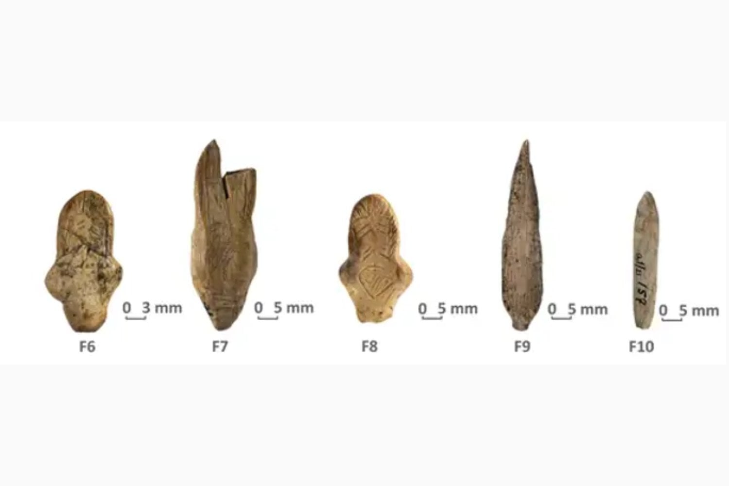 Hace 18.000 años, unos artistas de la Edad de Hielo tallaron figuras humanas en colmillos de mamut. Ahora sabemos que los misteriosos zigzags no eran simples adornos: estaban copiando las “huellas” que el propio animal había dejado dentro del marfil