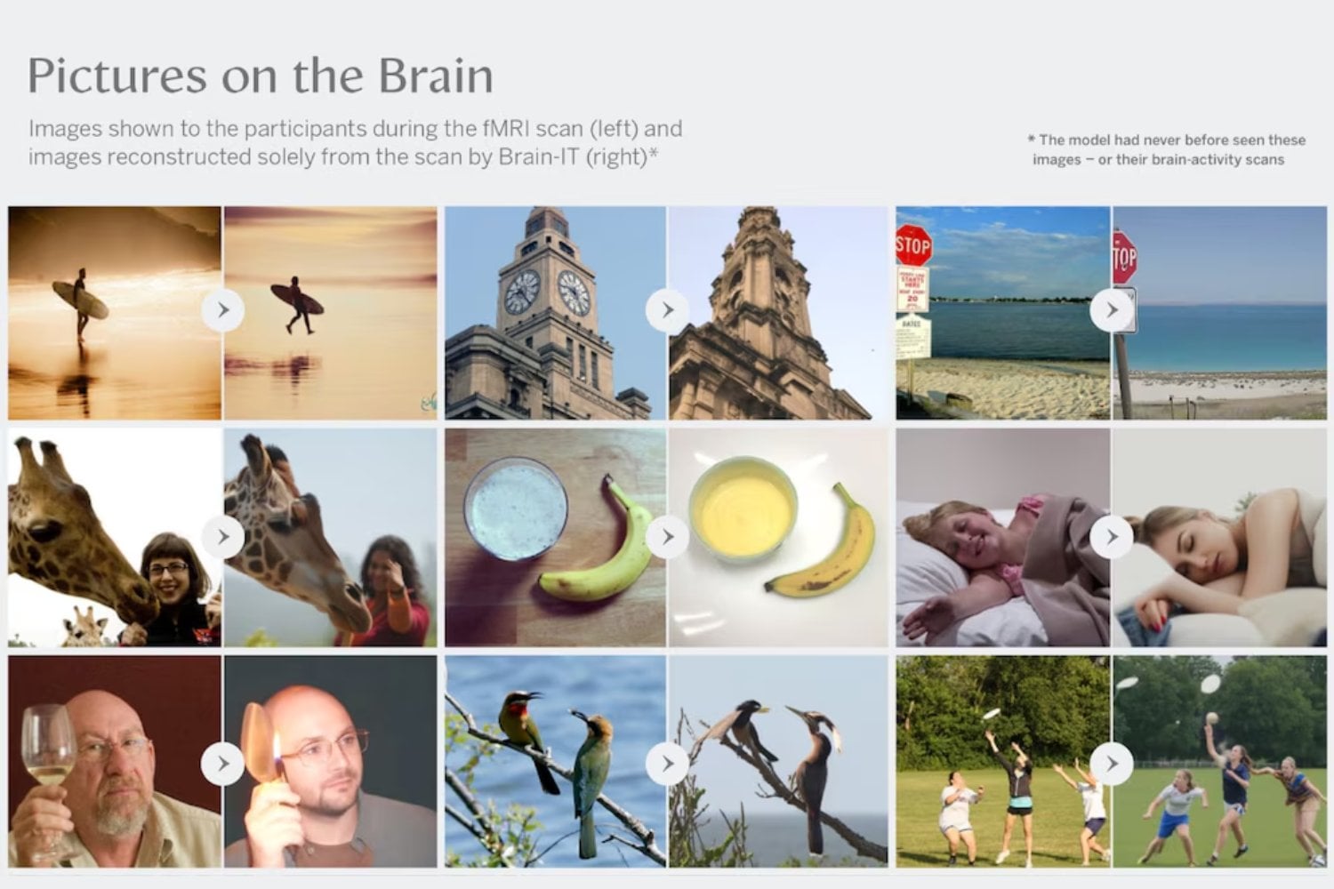Hasta ahora una IA necesitaba unas 40 horas de escáner para aprender a “leer” lo que veía una persona. Brain-IT lo reduce a una hora y reconstruye la imagen directamente desde su actividad cerebral