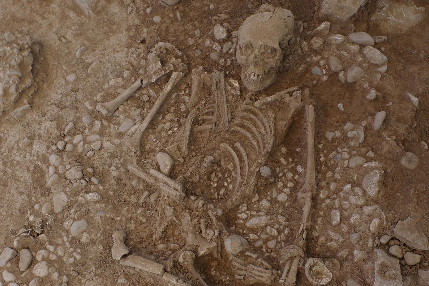 En la Grecia de la Edad del Bronce hasta uno de cada diez habitantes había crecido en otro lugar. Lo inesperado es que hombres y mujeres se marchaban casi por igual