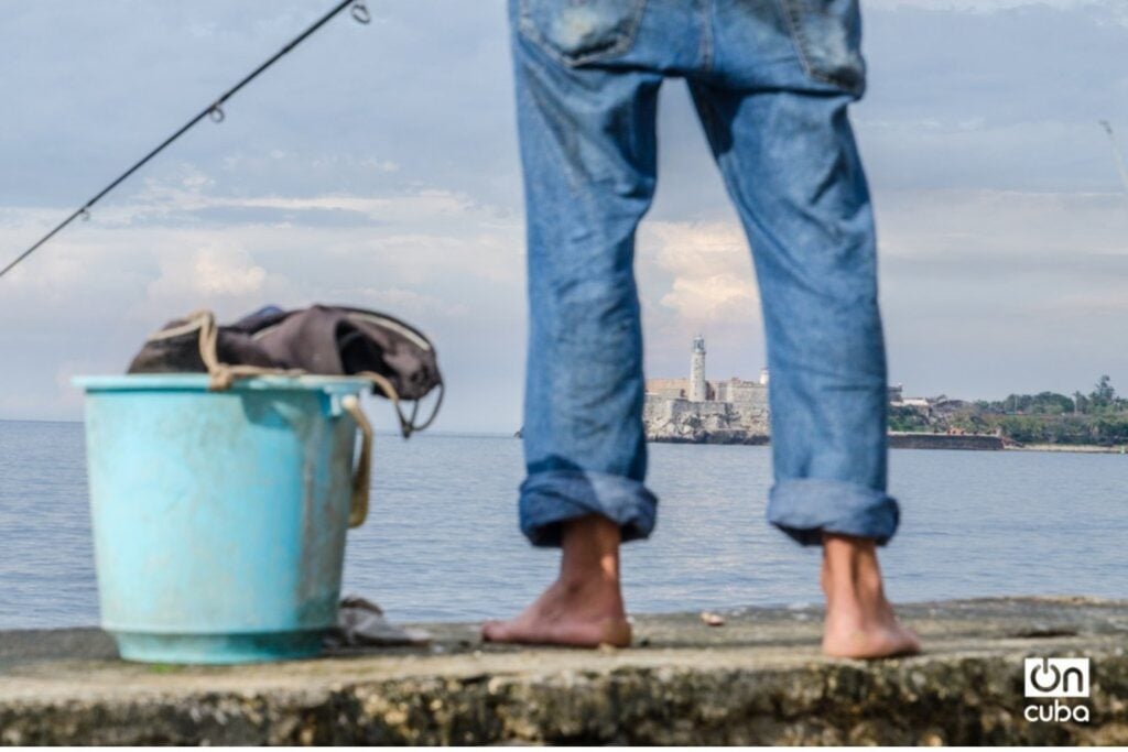 Cuba está rodeada de mar. La paradoja es que uno de los alimentos más obvios de una isla se está convirtiendo en un lujo imposible de llevar a la mesa
