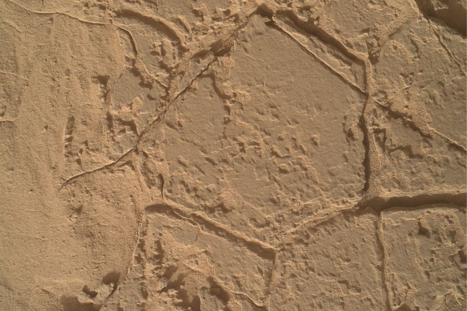 Curiosity iba a cruzar un “estacionamiento” marciano y acabó rodeado por un mar de panales de piedra. Sus grietas podrían contar el último capítulo del agua en Marte