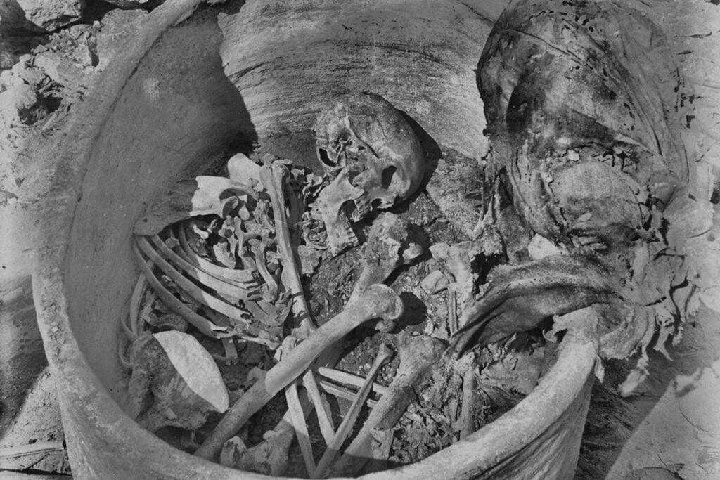 Un hombre murió en Egipto hace casi 4.800 años y terminó enterrado dentro de una enorme vasija. Su ADN sobrevivió contra todo pronóstico y reveló que una quinta parte de su ascendencia venía de Mesopotamia