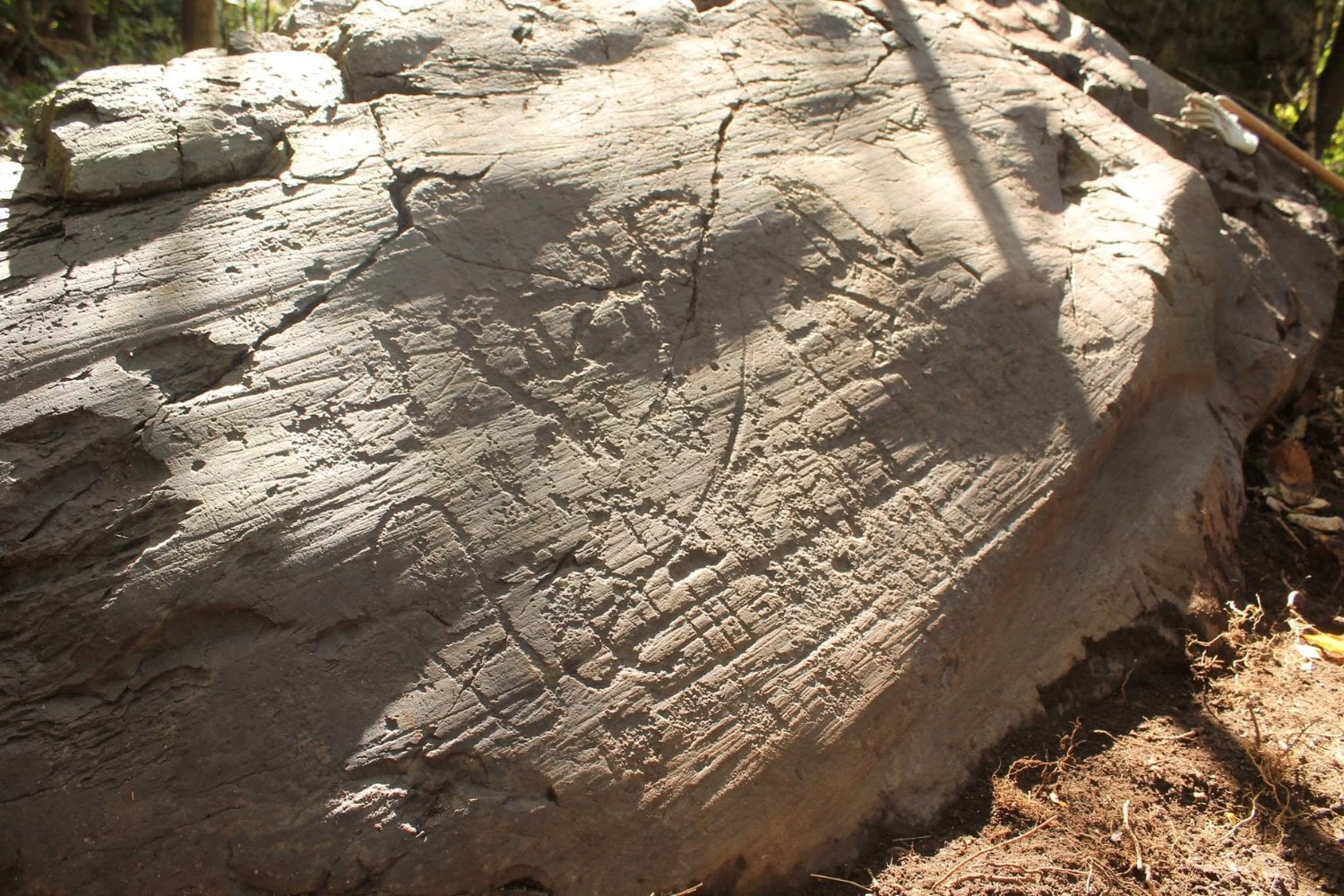 Llevan 70 años estudiando uno de los mayores archivos prehistóricos de Europa. Acaban de encontrar una roca entera con casas, huellas humanas, hachas y una estrella que nadie había documentado