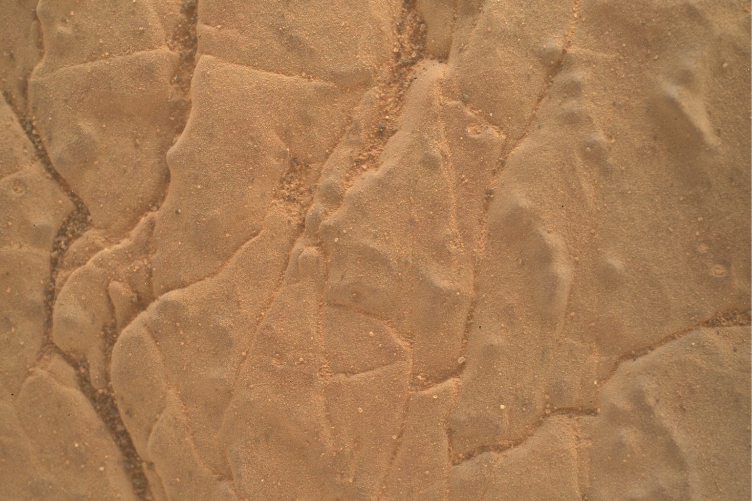 Curiosity iba a cruzar un “estacionamiento” marciano y acabó rodeado por un mar de panales de piedra. Sus grietas podrían contar el último capítulo del agua en Marte