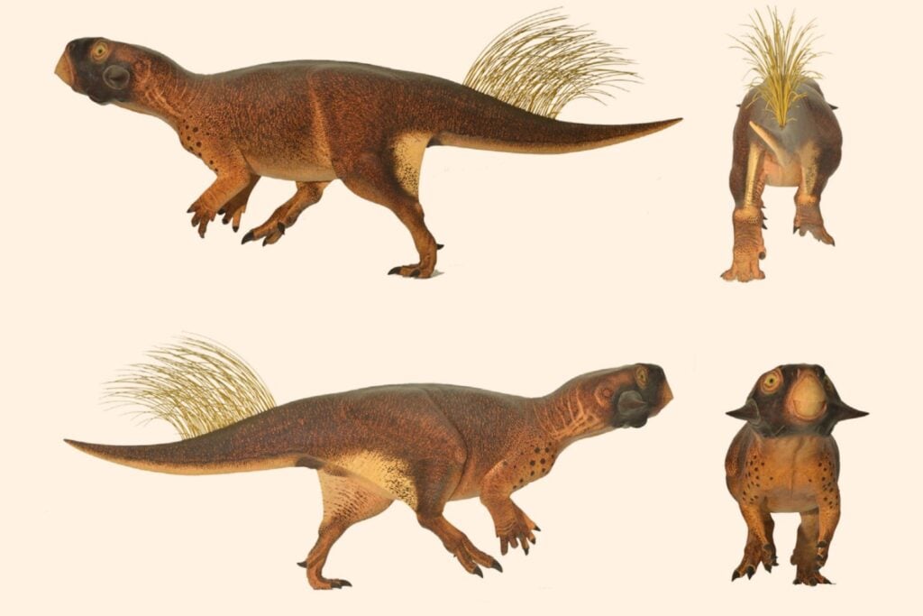 Buscaban cobre a casi medio kilómetro bajo China y la perforación atravesó algo completamente distinto: la cola de un dinosaurio de hace 115 millones de años que cambia el mapa del Cretácico