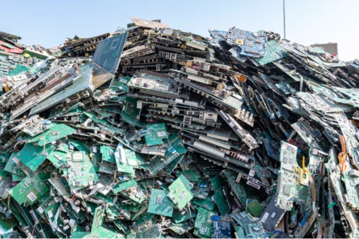 Un kilo de placas electrónicas desechadas contiene unos 270 gramos de cobre. Un equipo hizo que bacterias fabricaran el ácido para liberarlo y recuperó el 80% de lo disuelto, pero aún queda el paso difícil