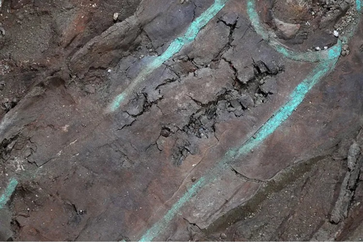 Los huesos casi habían desaparecido bajo un convento de Pontevedra, pero algo mucho más frágil seguía allí. Los arqueólogos encontraron un cerebro humano conservado durante siglos y ahora intentan explicar cómo sobrevivió