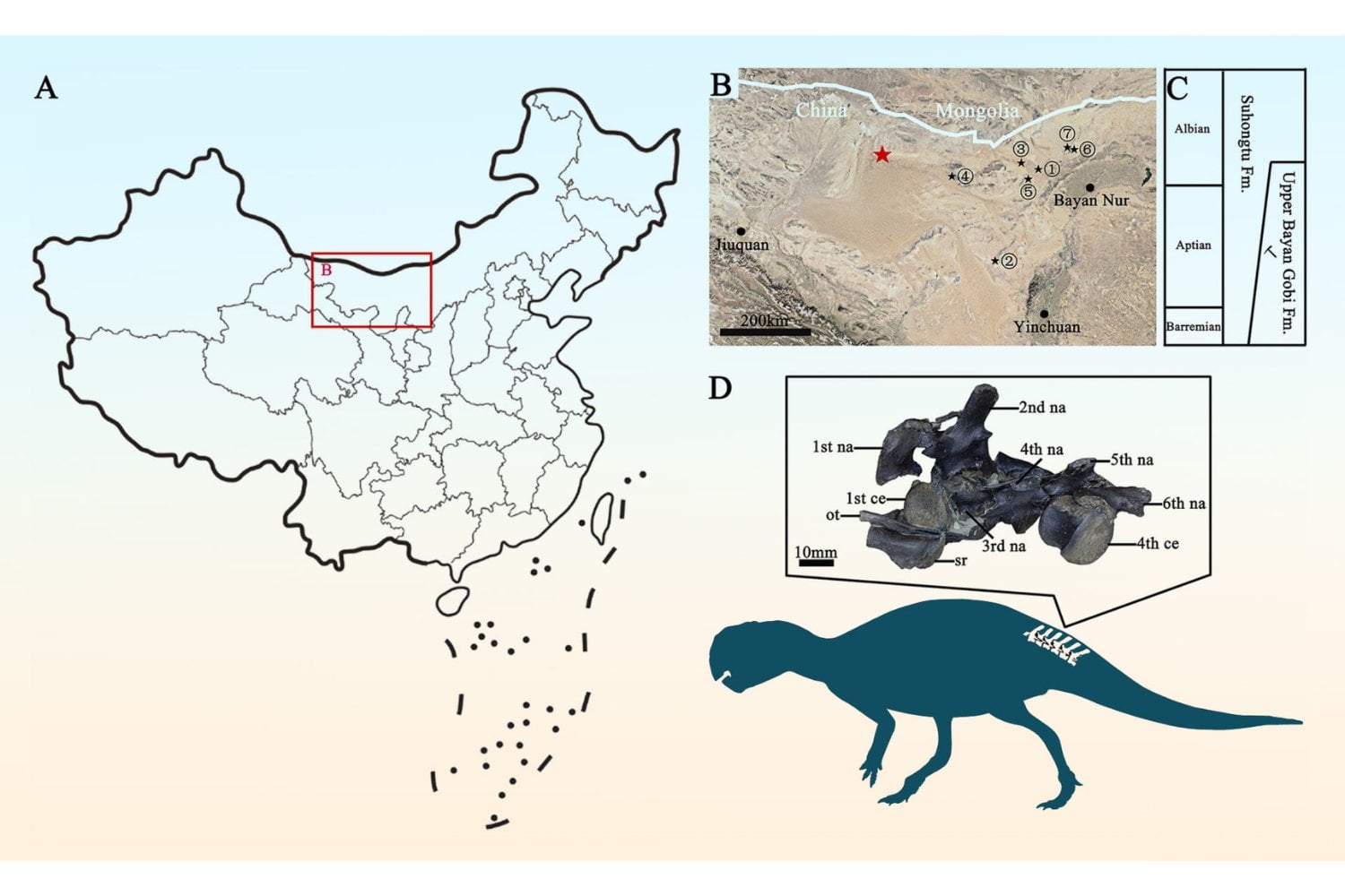 Buscaban cobre a casi medio kilómetro bajo China y la perforación atravesó algo completamente distinto: la cola de un dinosaurio de hace 115 millones de años que cambia el mapa del Cretácico