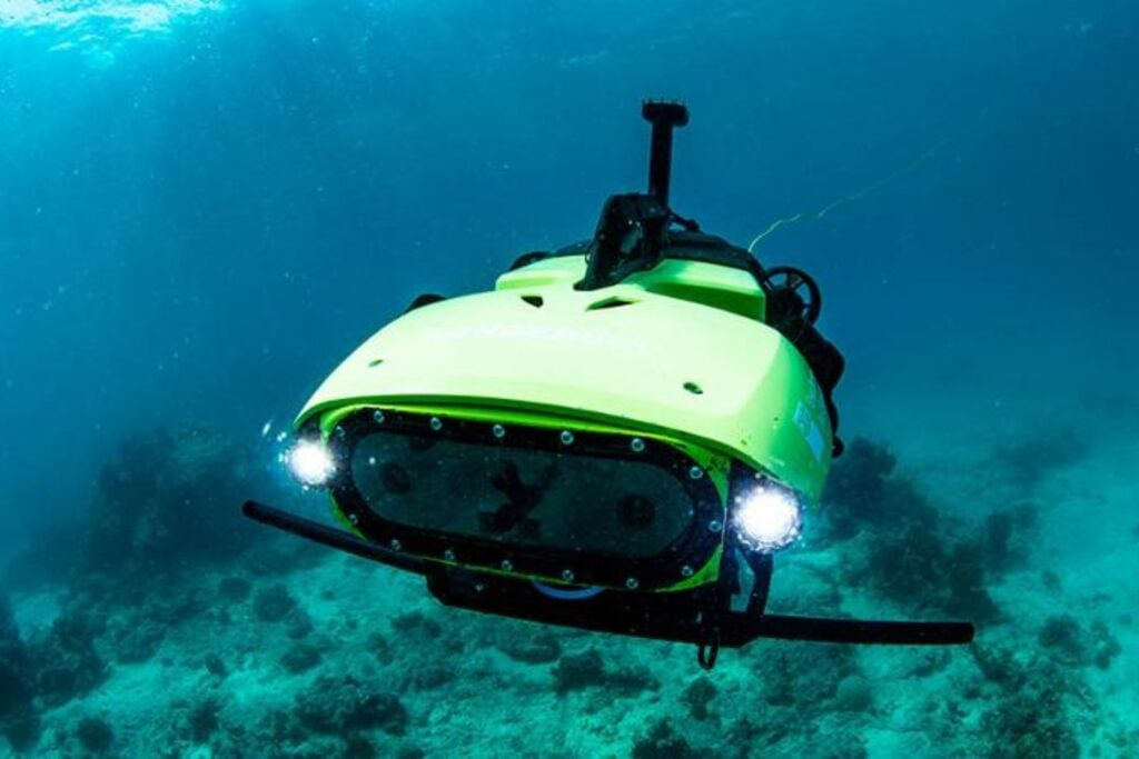 Australia creó un robot para matar una estrella de mar que devora la Gran Barrera. Meses después descubrió que podía usarlo para hacer exactamente lo contrario