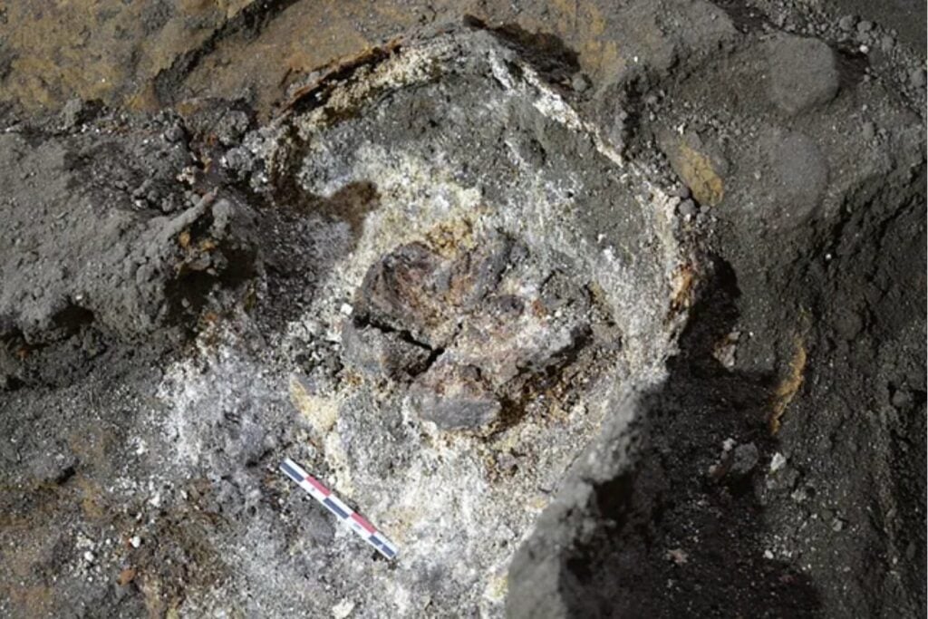 Los huesos casi habían desaparecido bajo un convento de Pontevedra, pero algo mucho más frágil seguía allí. Los arqueólogos encontraron un cerebro humano conservado durante siglos y ahora intentan explicar cómo sobrevivió