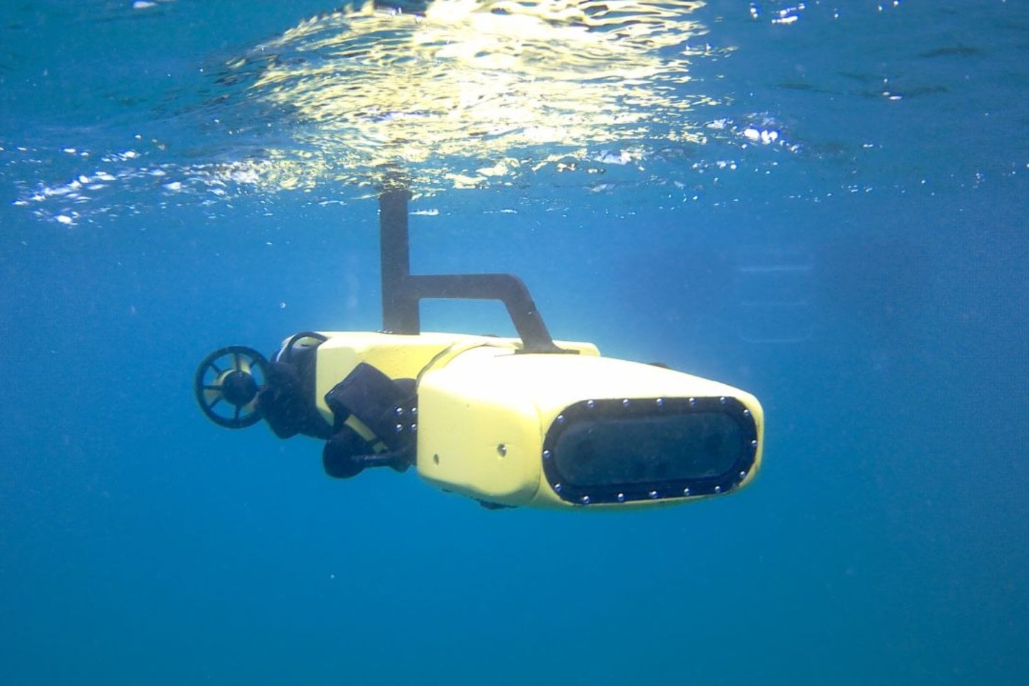 Australia creó un robot para matar una estrella de mar que devora la Gran Barrera. Meses después descubrió que podía usarlo para hacer exactamente lo contrario