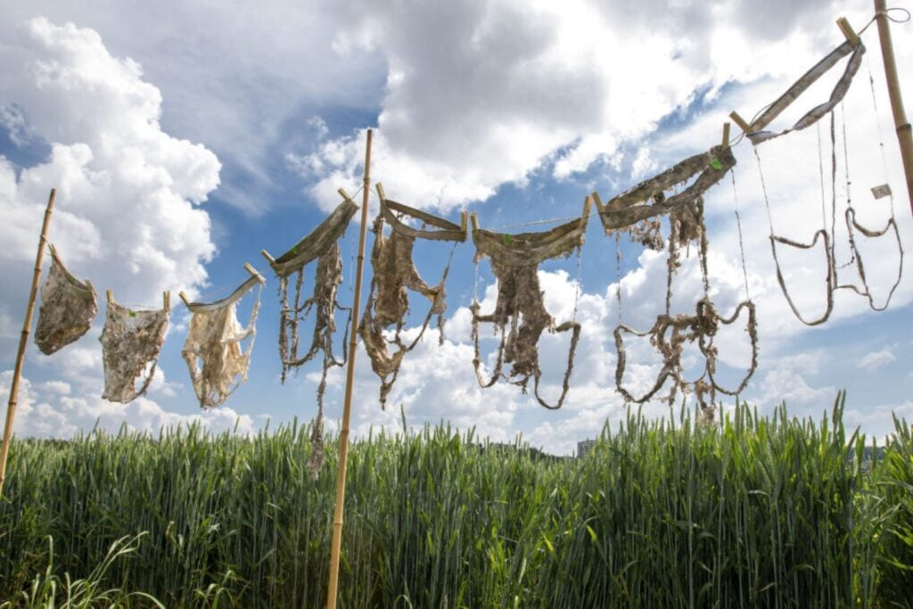 Suiza enterró 2.000 calzoncillos para saber qué pasaba bajo sus pies. Los jardines se los “comieron” más rápido y eso no era necesariamente una buena noticia