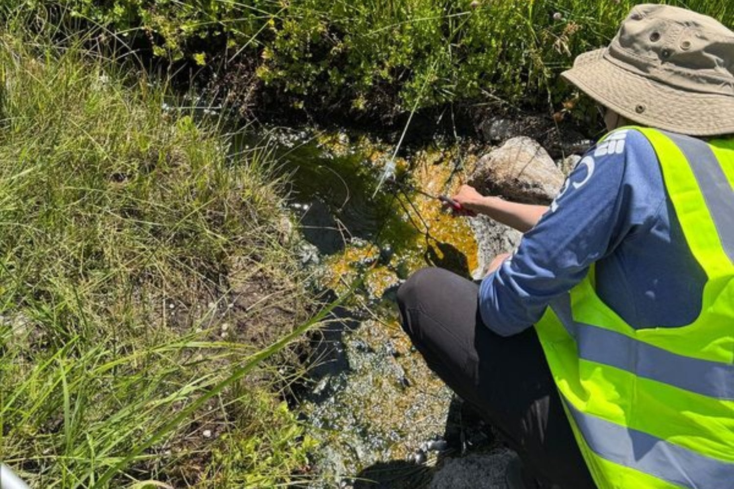 Durante décadas, 60 °C parecía una frontera que la vida compleja no podía cruzar. Una diminuta criatura de California acaba de demostrar que estábamos equivocados