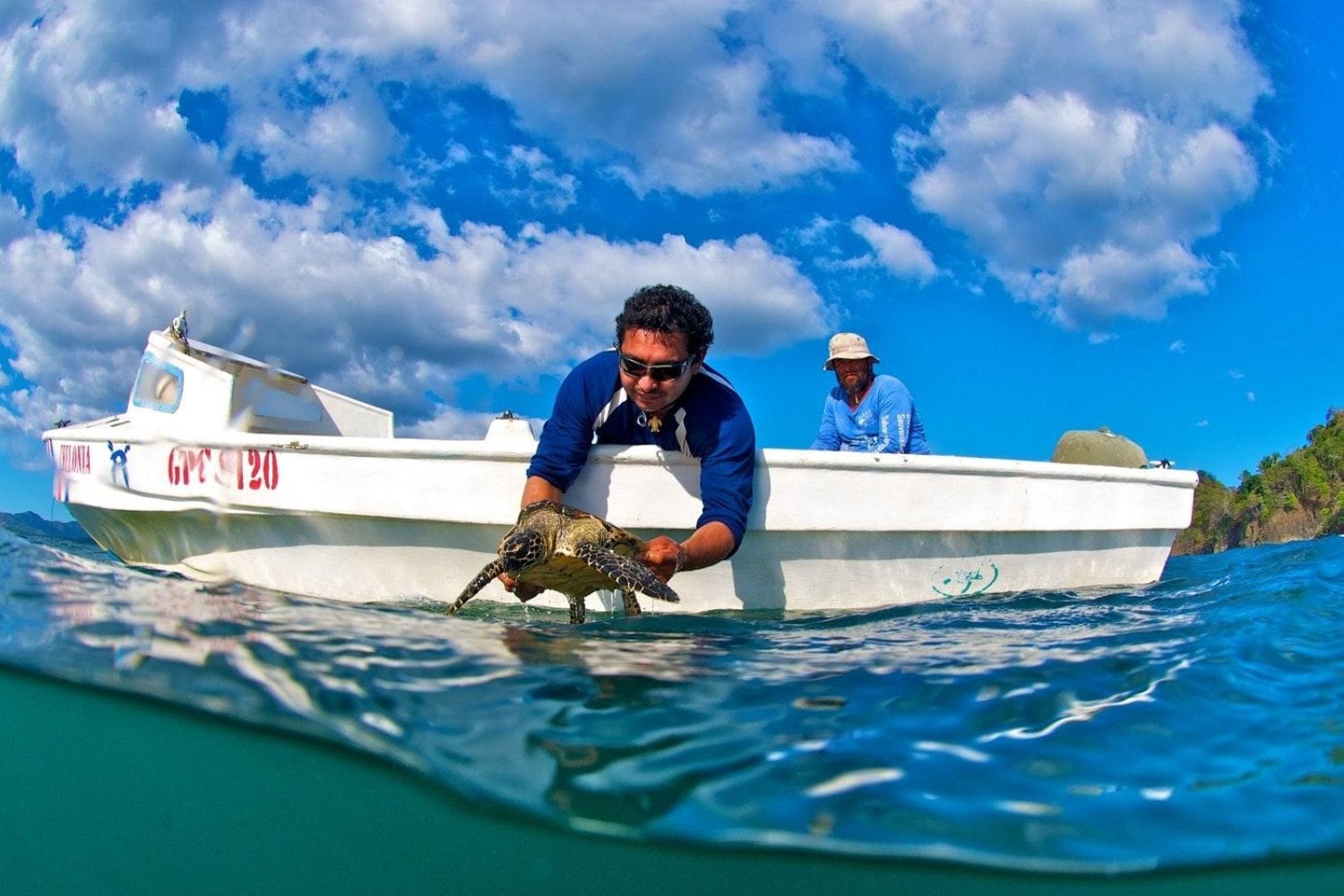 Durante 148 años, el mundo convirtió sus caparazones en joyas, peines y anteojos. Casi nueve millones de tortugas murieron y la especie todavía intenta sobrevivir