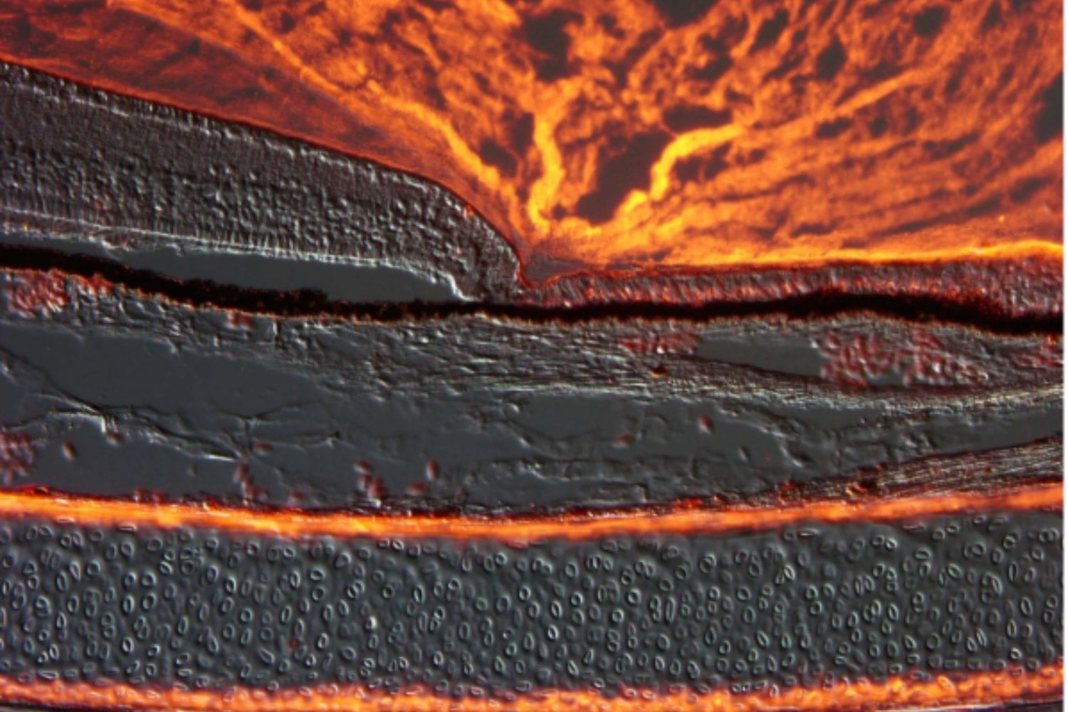 La retina había dejado de responder a la luz. Entonces los investigadores probaron una inyección de nanopartículas y el resultado fue fascinante