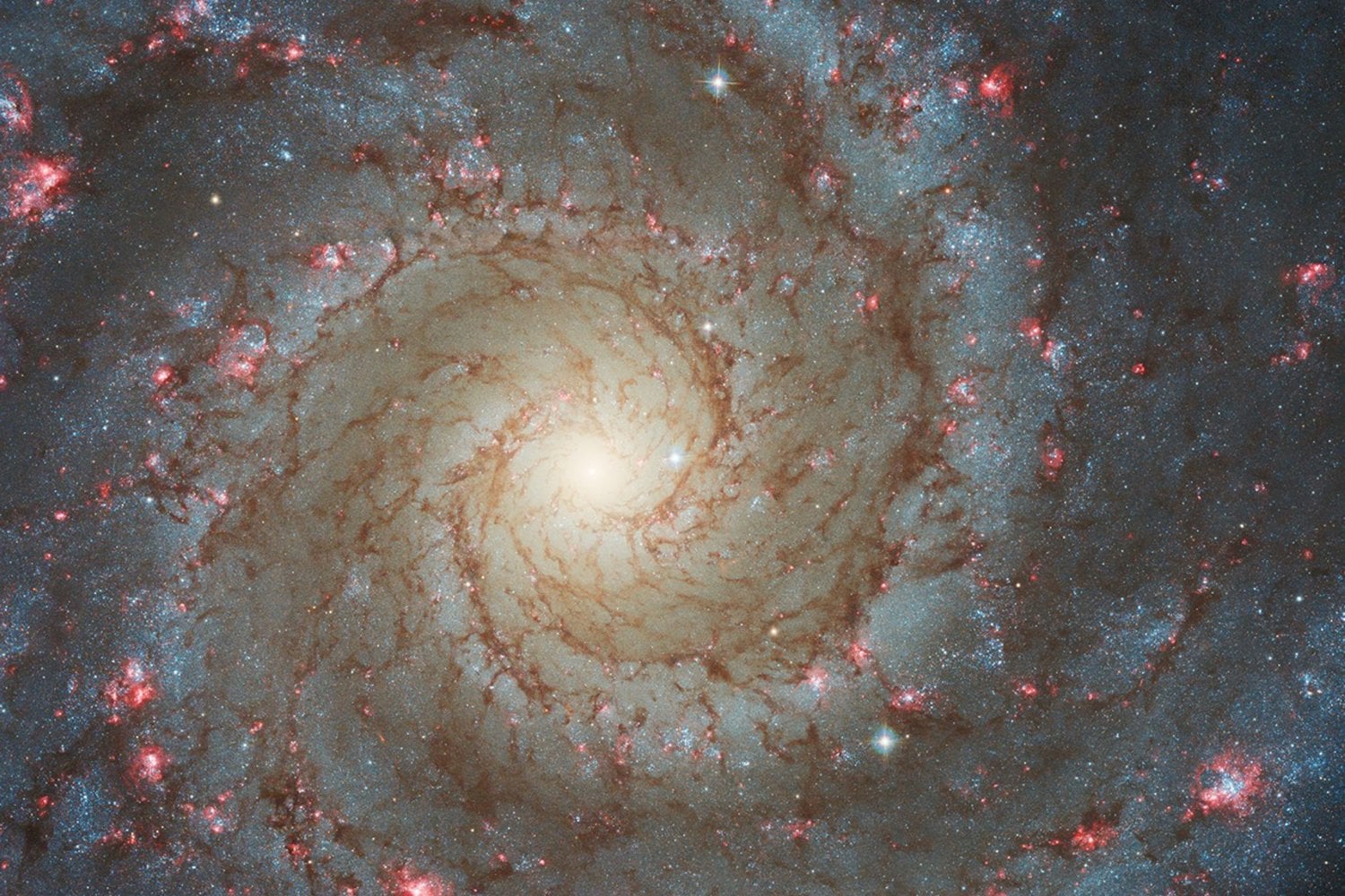 Messier 74 llevaba décadas posando como una de las galaxias espirales mejor estudiadas del cielo. Un telescopio de solo un metro acaba de revelar que su disco llega casi al doble de lo que creíamos y que esa periferia nació hace apenas 640 millones de años