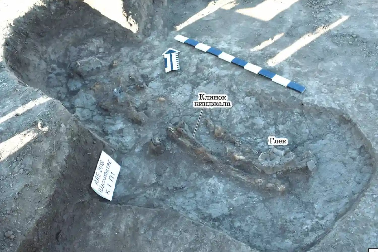 Arqueólogos abrieron un túmulo de la Edad del Bronce en Ucrania esperando tumbas de hace 5.000 años. Casi en la cima había un “intruso” enterrado milenios después