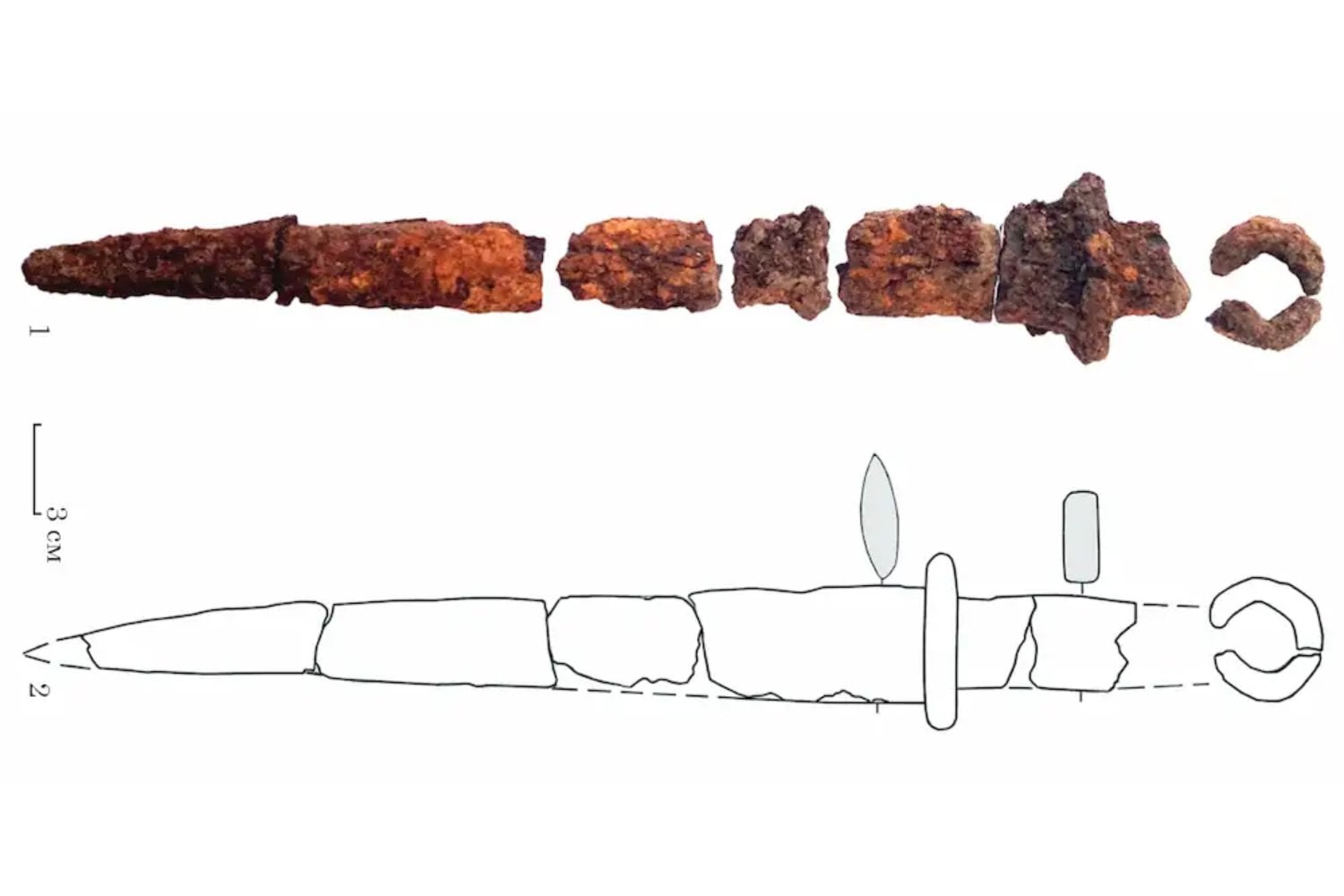 Arqueólogos abrieron un túmulo de la Edad del Bronce en Ucrania esperando tumbas de hace 5.000 años. Casi en la cima había un “intruso” enterrado milenios después