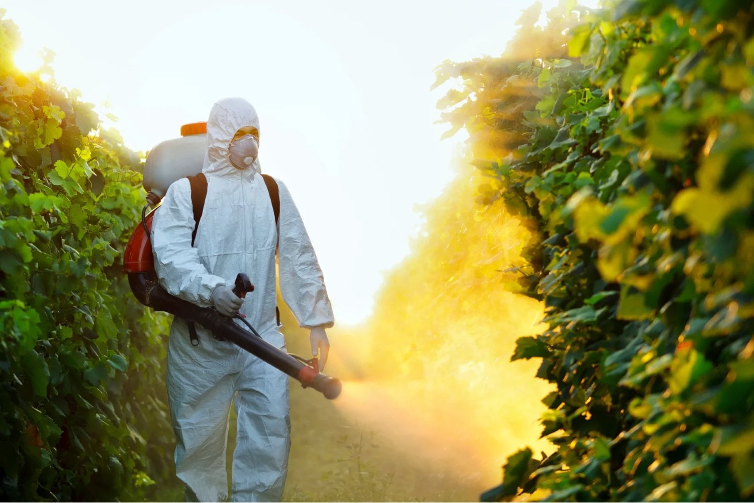 Una científica quiso saber hasta dónde habían llegado los pesticidas en nuestros cuerpos. Encontró glifosato en el 86% de las muestras y ahora el Gobierno Nacional podría exonerarla