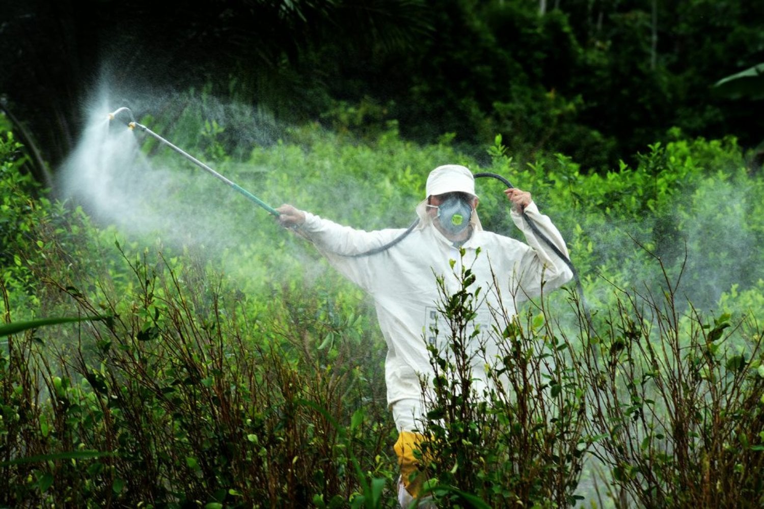 Una científica quiso saber hasta dónde habían llegado los pesticidas en nuestros cuerpos. Encontró glifosato en el 86% de las muestras y ahora el Gobierno Nacional podría exonerarla