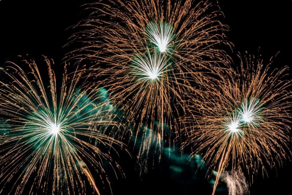Fuegos artificiales y perros: las estrategias que realmente reducen el miedo