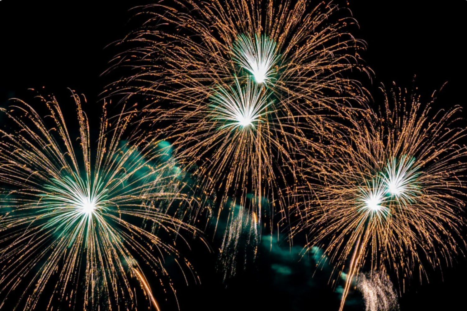 Fuegos artificiales y perros: las estrategias que realmente reducen el miedo