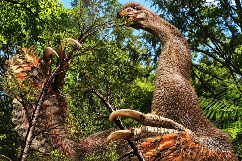 Descubren en China un extraño dinosaurio con enormes garras y una boca llena de diminutos dientes