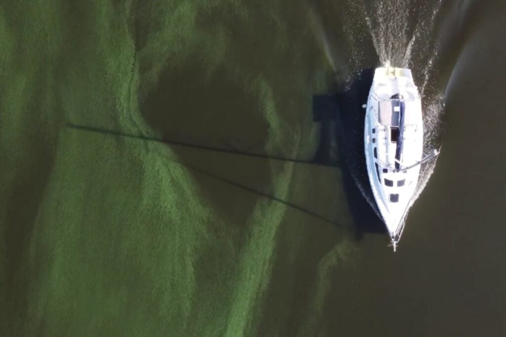 No es contaminación: la explicación de la gigantesca mancha verde vista desde el espacio