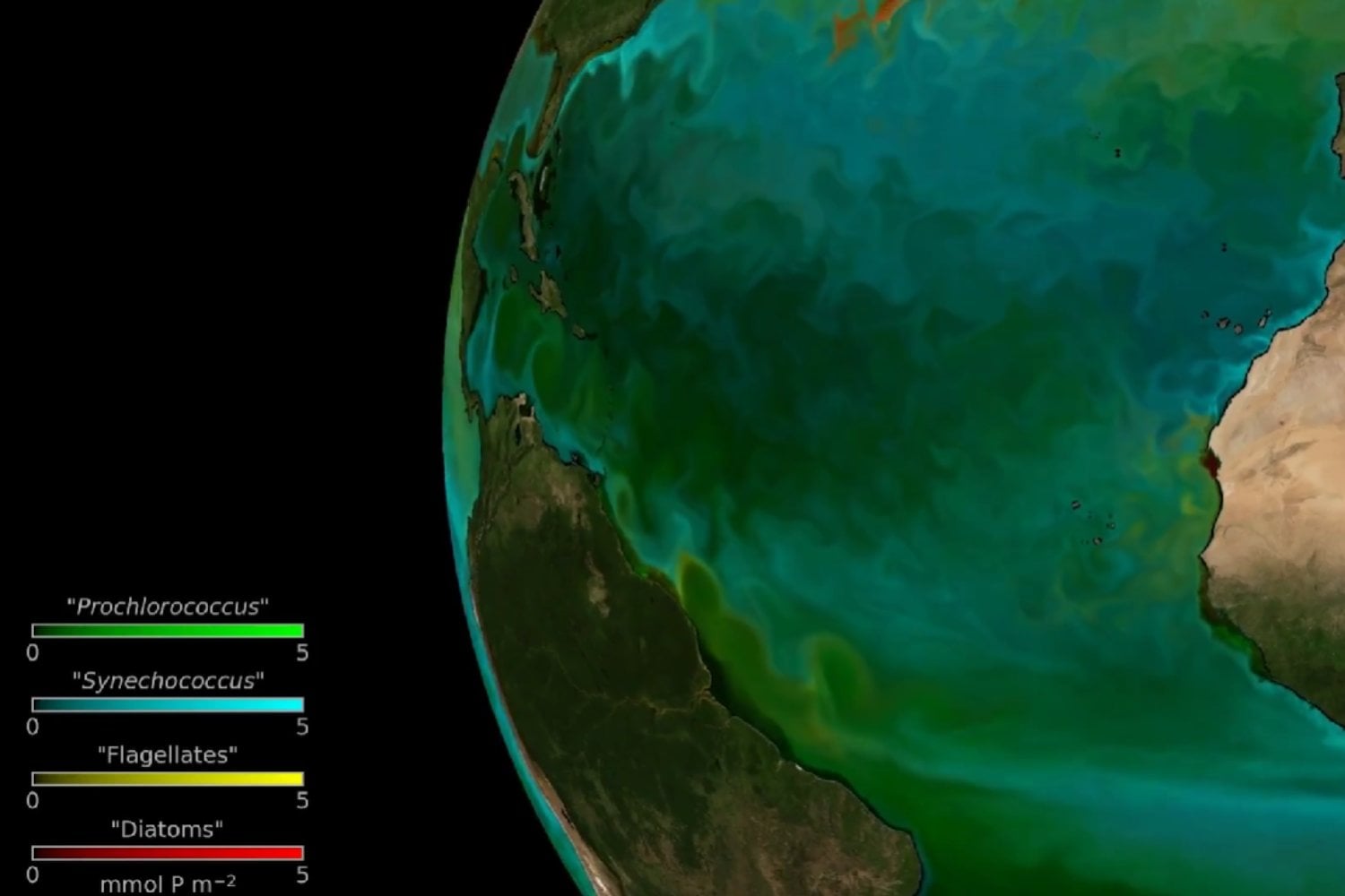 No es contaminación: la explicación de la gigantesca mancha verde vista desde el espacio