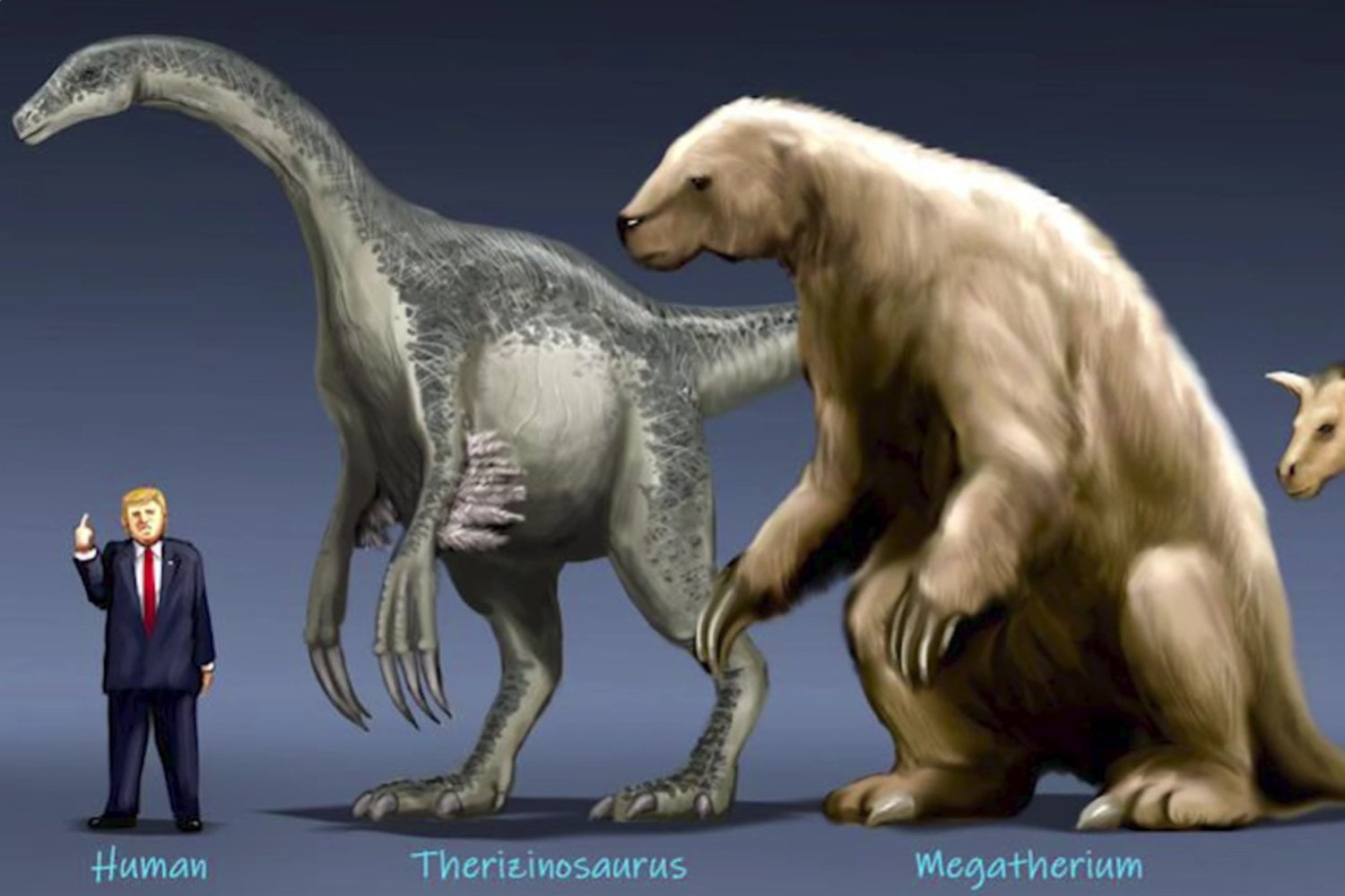 Descubren en China un extraño dinosaurio con enormes garras y una boca llena de diminutos dientes