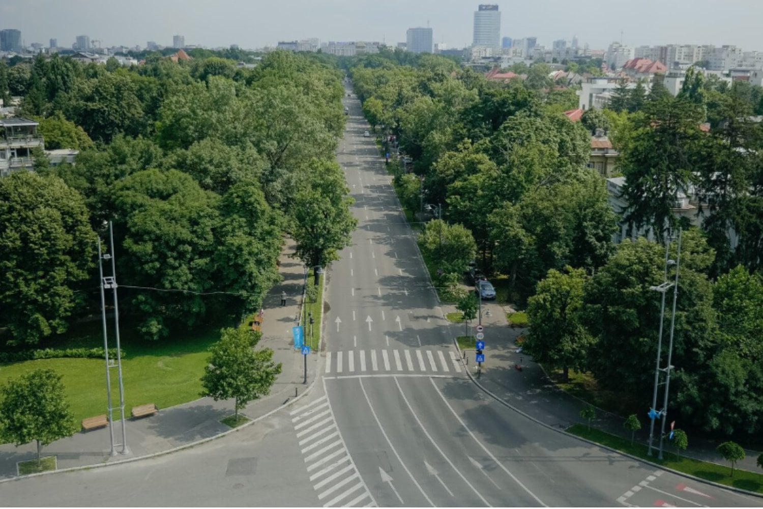 Tener árboles en la ciudad no basta: su crecimiento y madurez pueden marcar la diferencia en la mortalidad