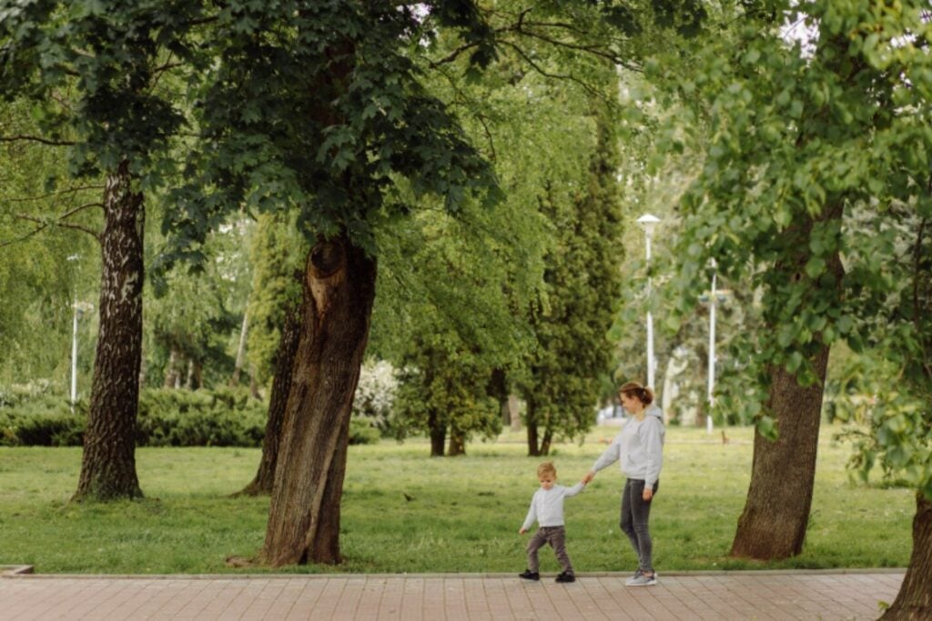 Tener árboles en la ciudad no basta: su crecimiento y madurez pueden marcar la diferencia en la mortalidad