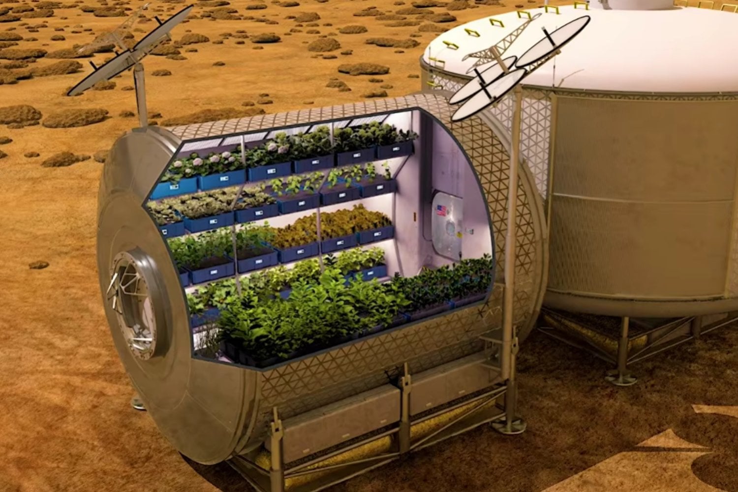 La NASA premia con USD 300.000 un proyecto para producir la mitad de la comida de una misión a Marte
