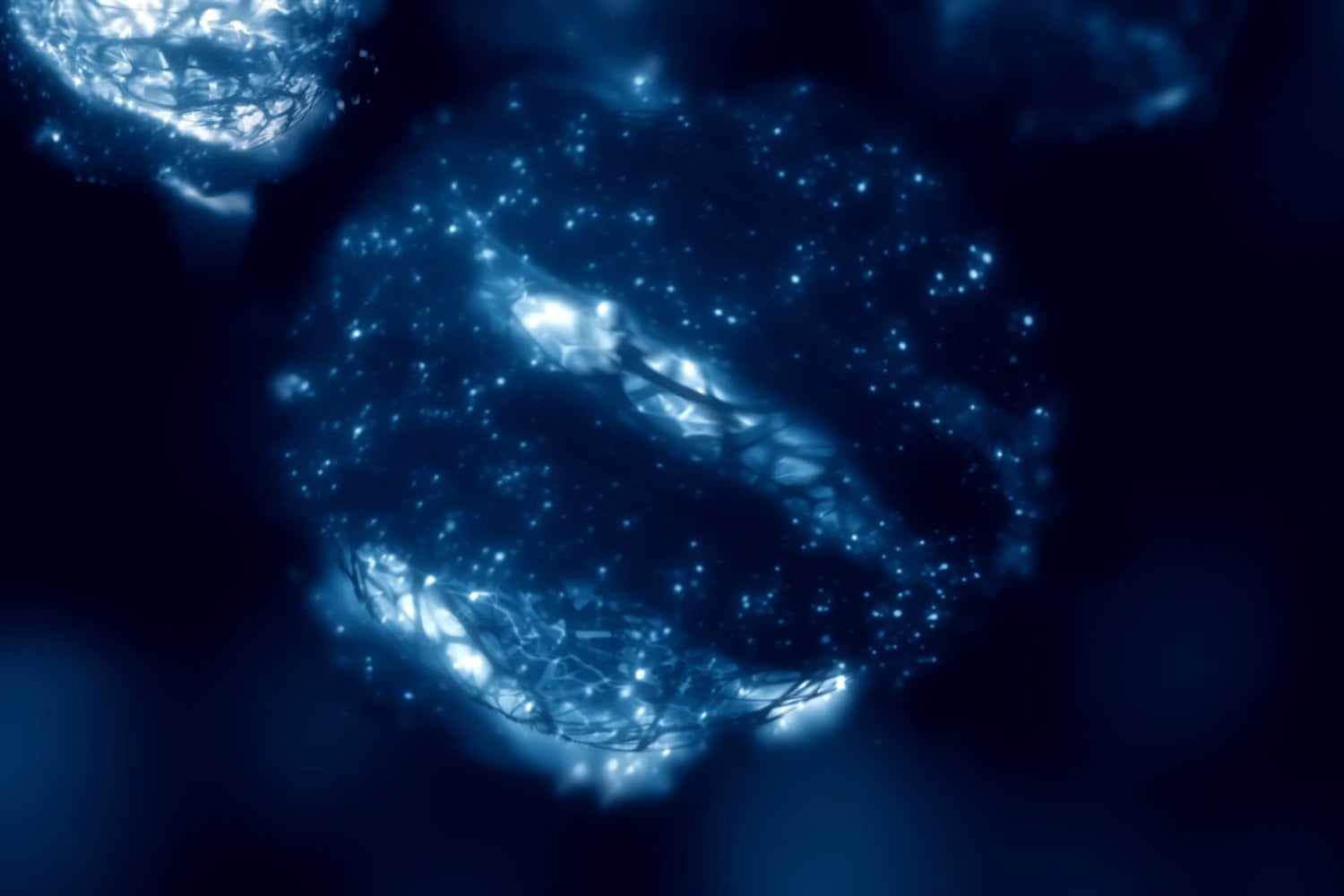 Estrellas de quarks: los objetos extremos que podrían estar hechos de materia extraña