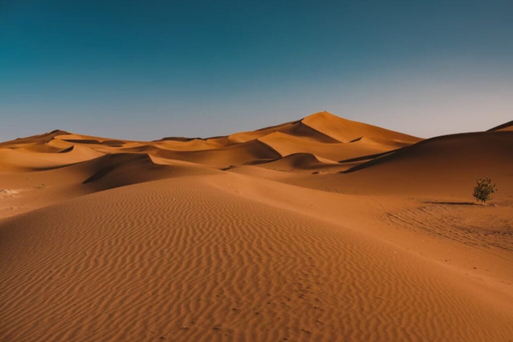 Por qué la temperatura cambia tanto entre el día y la noche en el desierto
