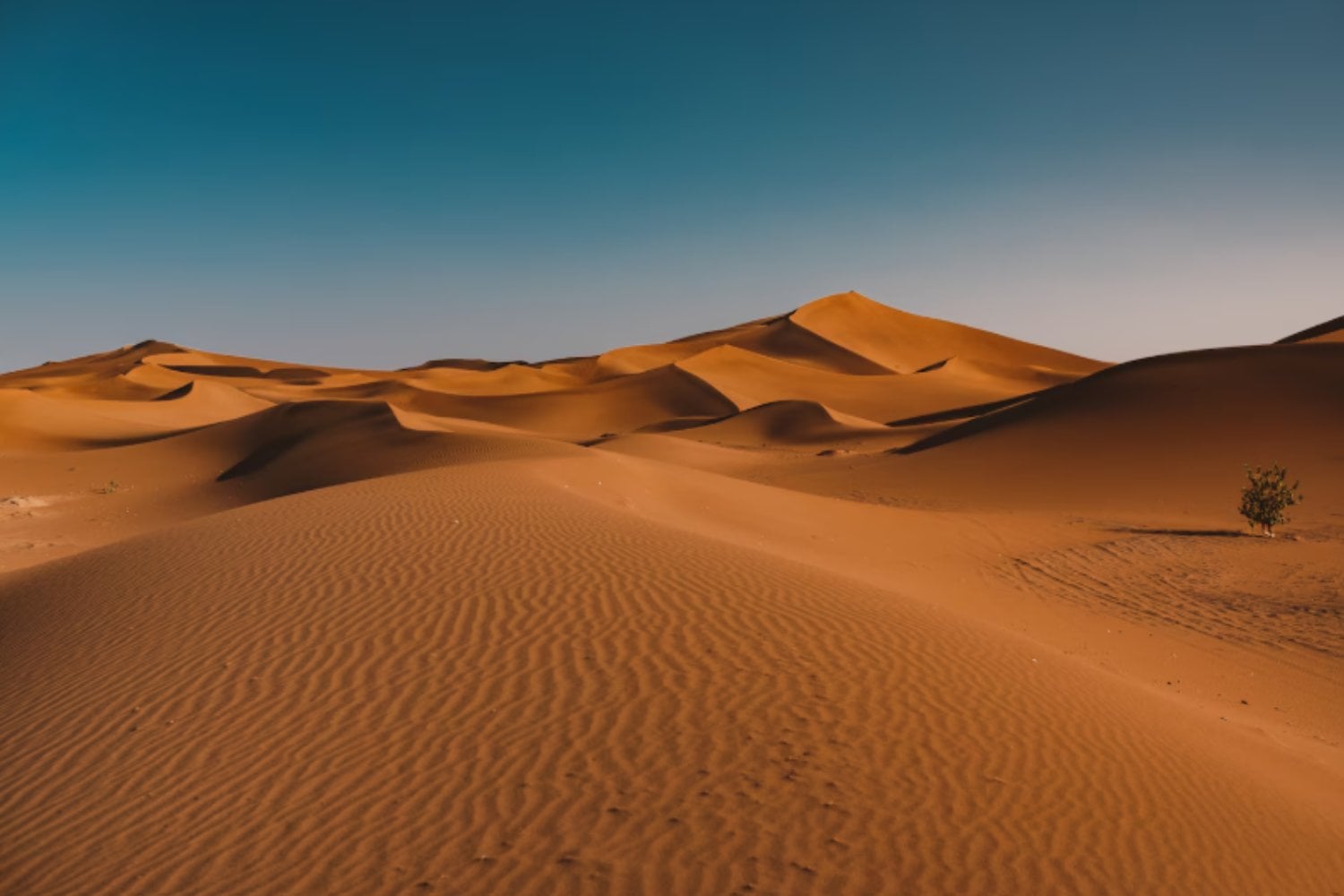 Por qué la temperatura cambia tanto entre el día y la noche en el desierto