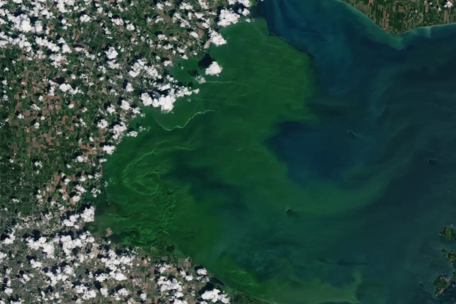 No es contaminación: la explicación de la gigantesca mancha verde vista desde el espacio