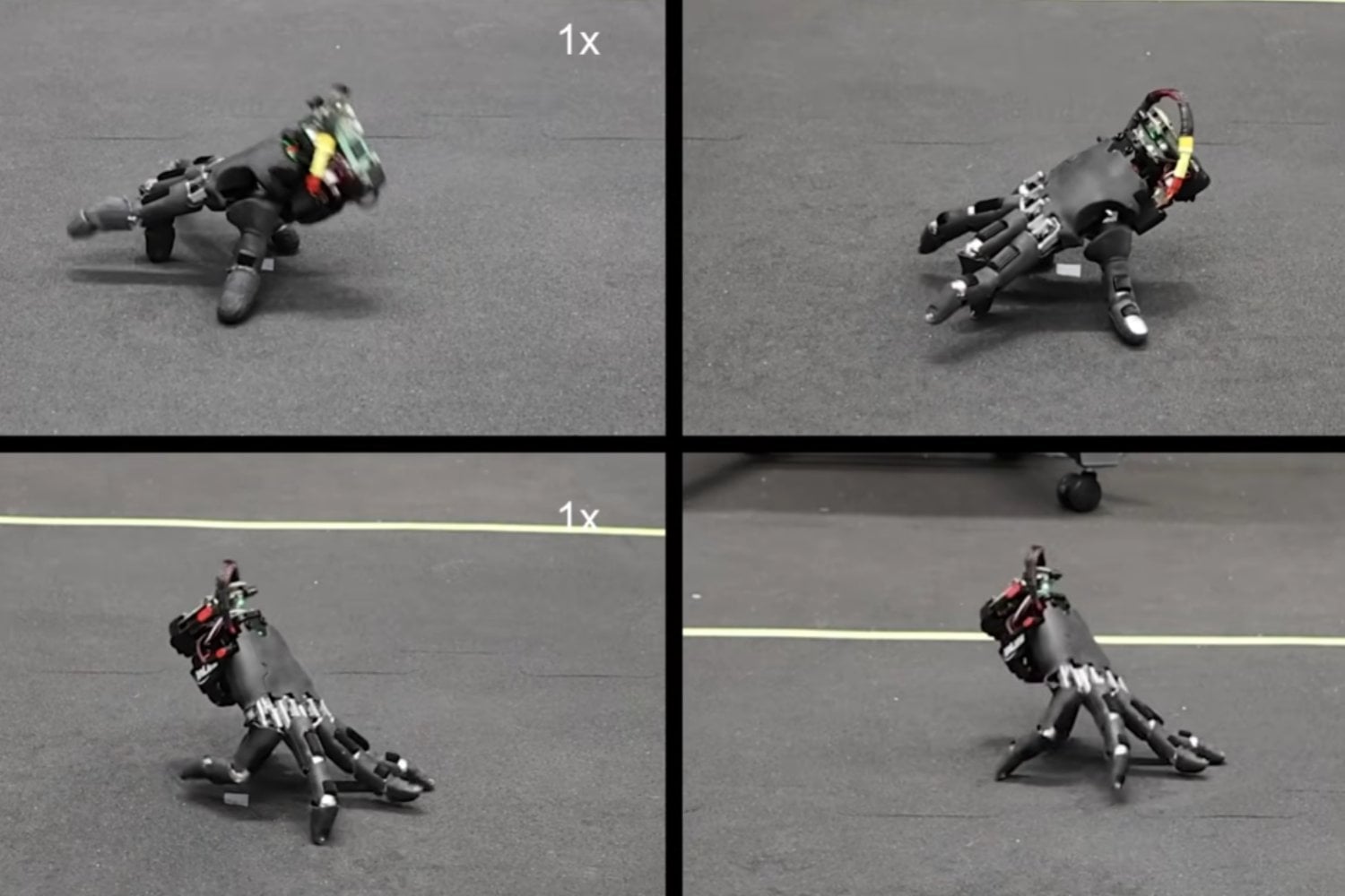 Una mano robótica cobra 'vida': camina sobre cinco dedos y supera todo tipo de terrenos