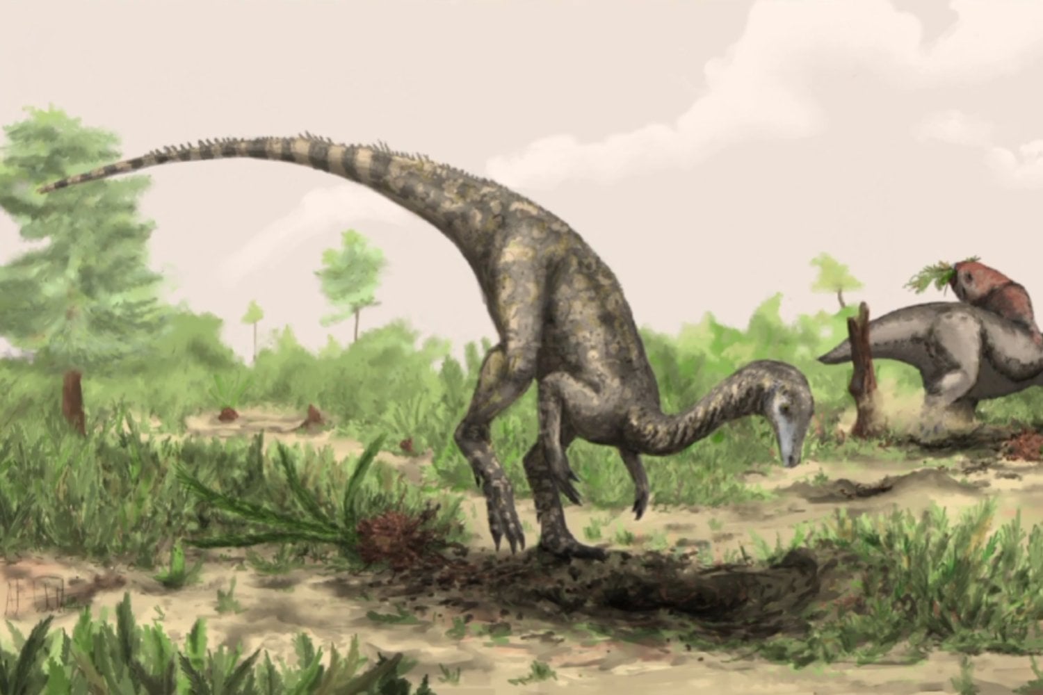 Un fósil olvidado durante 60 años cambia lo que creíamos saber sobre los primeros dinosaurios