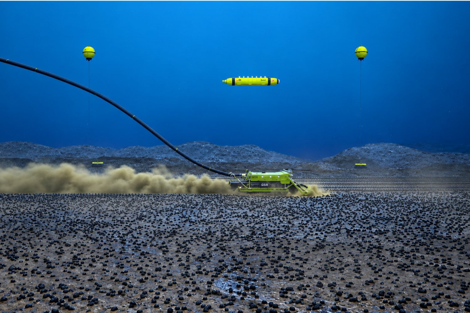 Más de 4.000 metros bajo el mar, los científicos descubrieron una biodiversidad sorprendente