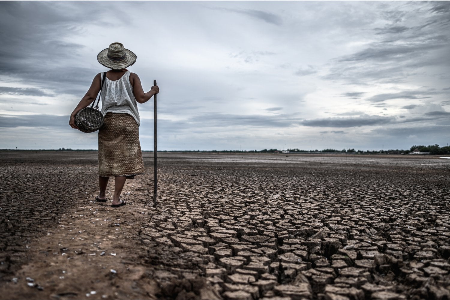 IA y cambio climático: dos riesgos muy diferentes que ya empiezan a cruzarse