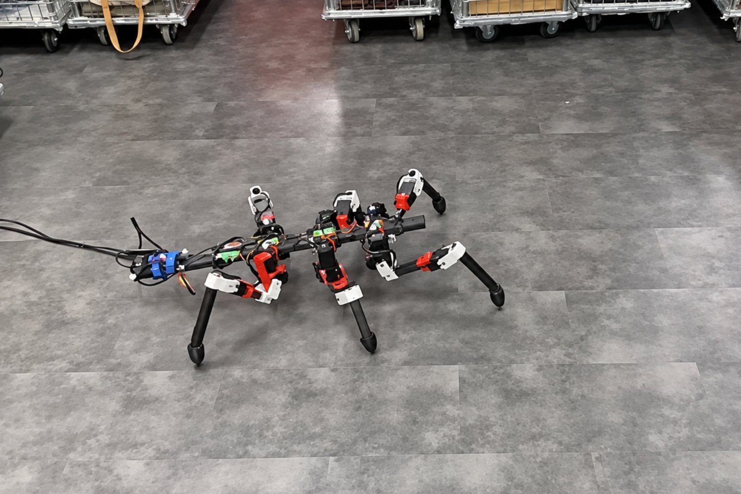 Un robot de seis patas copia a los insectos para caminar mejor por terrenos difíciles