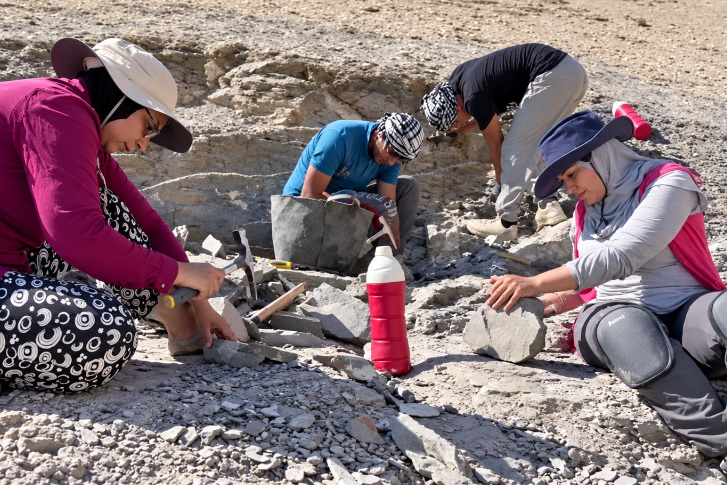 Donde hoy hay desierto hubo un mar lleno de peces hace 62 millones de años