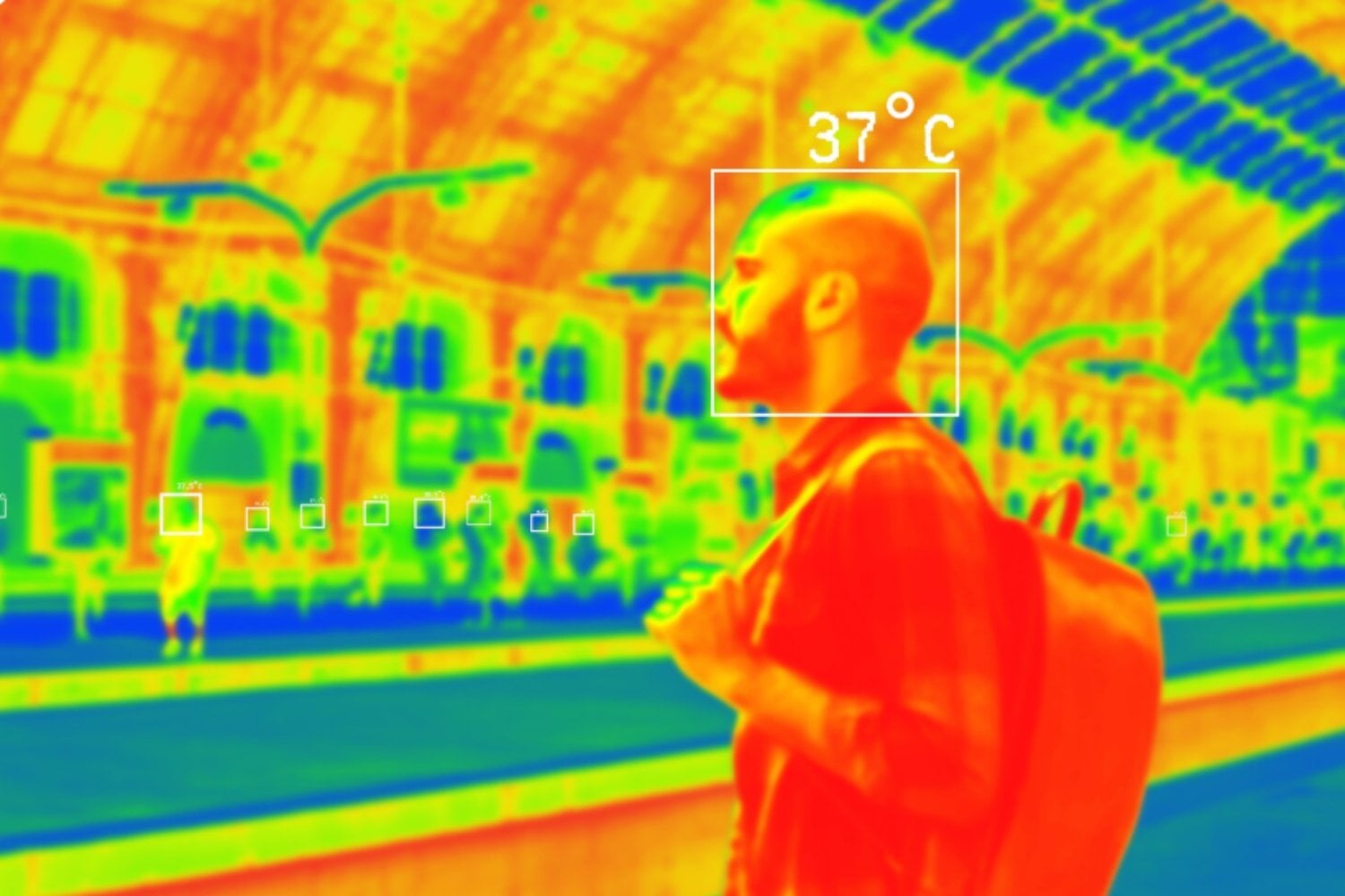 Por qué los humanos mantenemos unos 37 °C aunque cambie la temperatura exterior