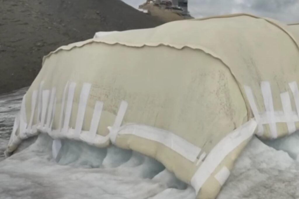 Suiza está cubriendo un glaciar con lana de oveja: el extraño experimento para frenar el deshielo sin utilizar plástico